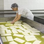 КОНДОВ ЕКОПРОДУКЦИЯ ЕООД