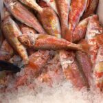Balkan fish