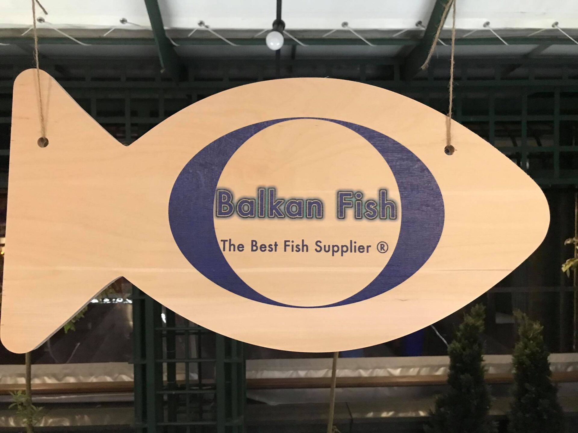 Balkan fish