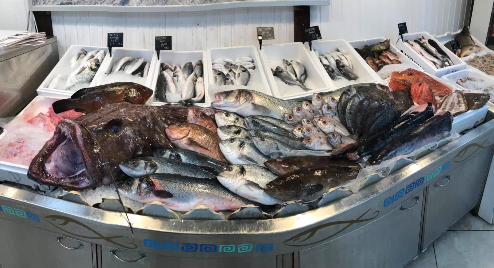 Balkan fish