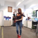 Брейн Сторм Консулт
