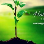 Апартхотел Врис Царево
